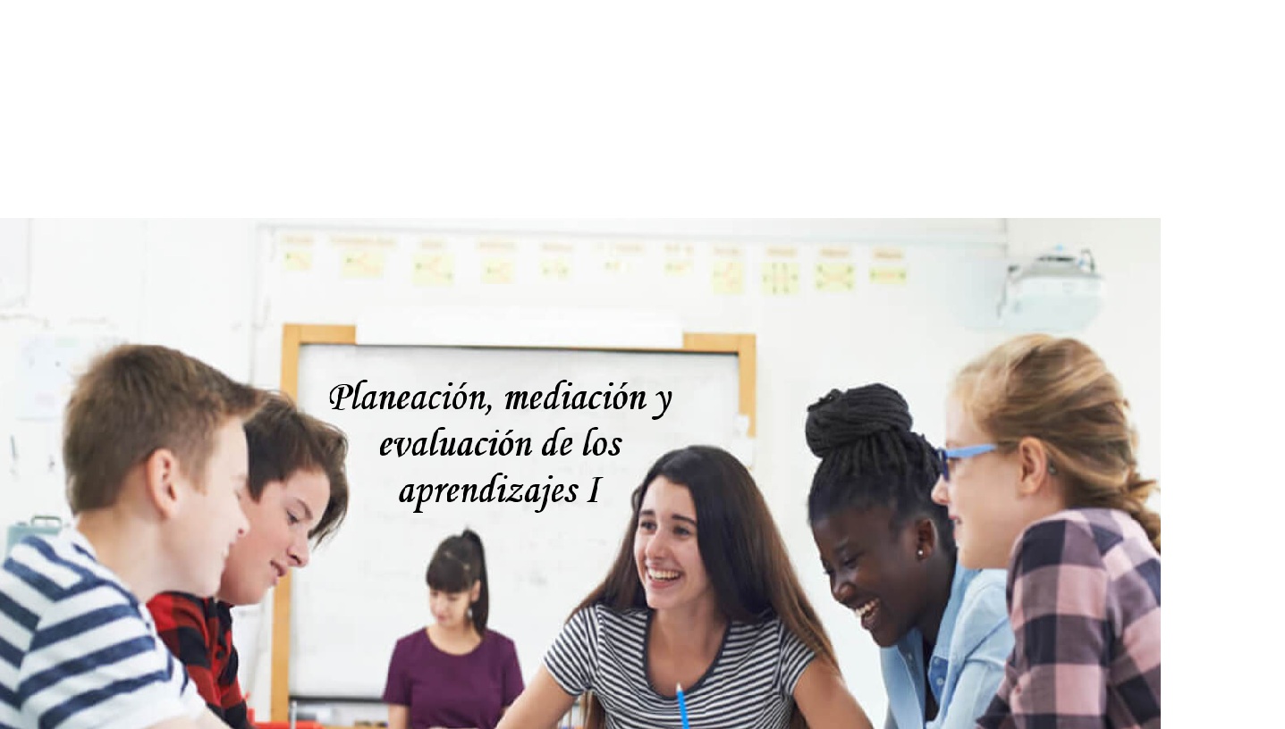 PLANIFICACIÓN, MEDIACIÓN Y EVALUACIÓN DE LOS APRENDIZAJES I
